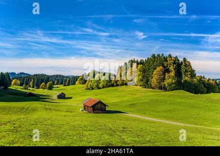 germania,baviera,alta baviera,oberland,saulgrub,paesaggio culturale vicino wetzsteinrücke Foto Stock