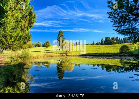 germania,baviera,alta baviera,oberland,saulgrub,böhmer weiher Foto Stock