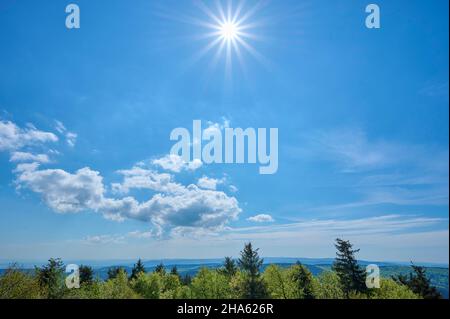 paesaggio forestale,sole,primavera,großer inselsberg,bad tabarz,foresta della turingia,germania Foto Stock