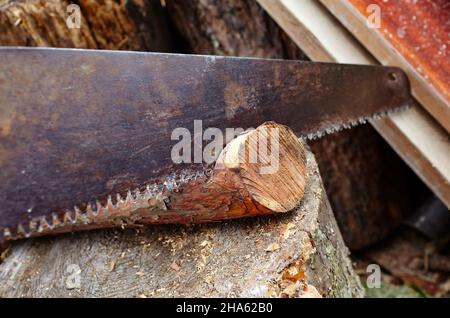 L'uomo sta tagliando il legno con la sega. Preparazione di legna da ardere per l'inverno Foto Stock