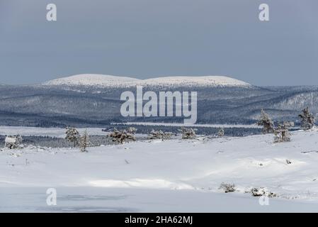 vista nazionale da särkitunturi, montagna vicino a muonio, fjell-lapponia, finlandia Foto Stock