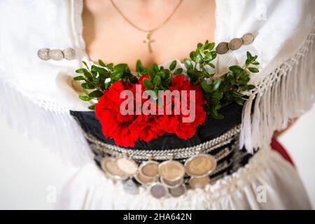germania,baviera,donna in costume tradizionale,decorazioni floreali nella scissione di un abito tradizionale. Foto Stock