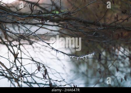 filiale congelata, obersee, bielefeld Foto Stock