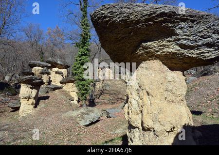 Villar San Costanzo, Piemonte, Italia - la riserva naturale di Ciciu di Villar dove si trovano formazioni geologiche a forma di funghi, dovute all'alluncinata Foto Stock