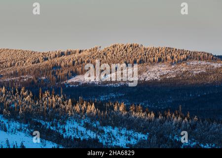 vista in inverno dal monte lusen, foresta bavarese, baviera, germania Foto Stock