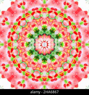 mandala,fiori,composizione Foto Stock