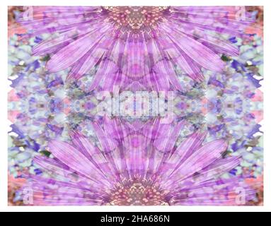 mandala,fiori,composizione Foto Stock