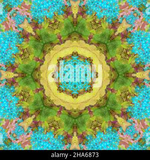 mandala,fiori,composizione Foto Stock