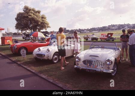 Austin Healeys all'annuale Ellerslie Car Show, che si tiene all'ippodromo di Auckland e che è gestito da un consorzio di club automobilistici. Foto Stock