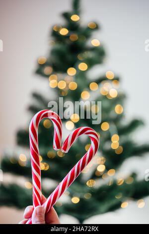 Mani che tengono caramelle in forma di cuore contro le luci dell'albero di Natale bokeh Foto Stock