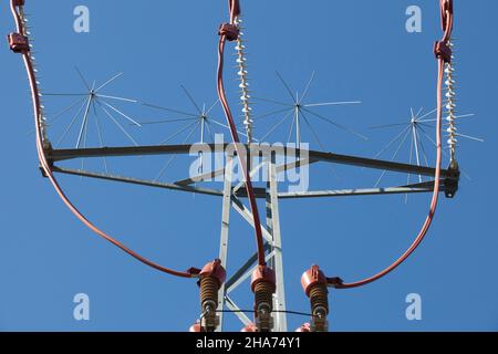 Piloni in acciaio dotati di punte per uccelli. Alcune specie nidificano e causano danni Foto Stock