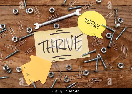 Scrittura visualizzazione testo prospera. Word for Think positivamente continuare a prosperare e fiorire il tempo di Blossom nuove idee Brainstoming manutenzione pianificazione Foto Stock