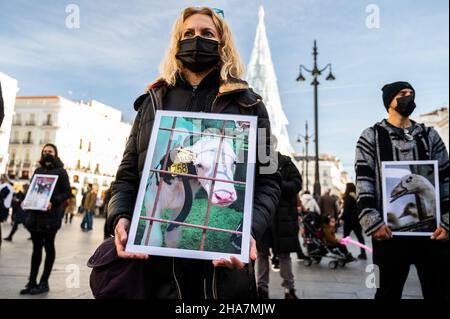 Madrid, Spagna. 11th Dic 2021. Attivisti per i diritti degli animali che trasportano immagini di animali in aziende agricole che protestano contro gli abusi di animali chiamati dal gruppo "Animal Equality" (Igualdad Animal), denunciando l'impatto del bestiame industriale sul pianeta. Credit: Marcos del Maio/Alamy Live News Foto Stock