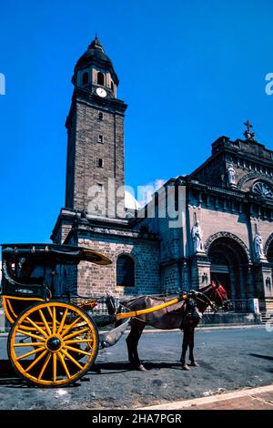 Kalesa e autista, Intramuros, Manila, Filippine Foto Stock