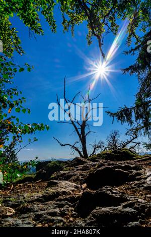 Escursioni a Kuernburg vicino a Stamsried nelle foreste bavaresi Foto Stock