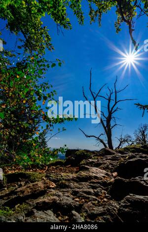 Escursioni a Kuernburg vicino a Stamsried nelle foreste bavaresi Foto Stock