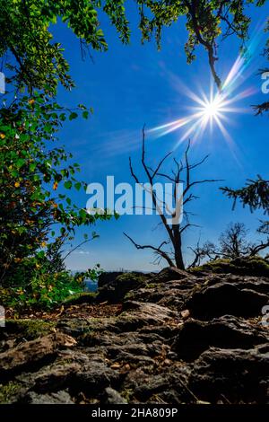 Escursioni a Kuernburg vicino a Stamsried nelle foreste bavaresi Foto Stock