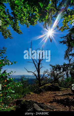 Escursioni a Kuernburg vicino a Stamsried nelle foreste bavaresi Foto Stock