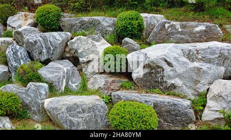 rocce e cespugli - arrangiamento giardino rifinito Foto Stock