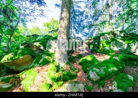 Escursioni a Kuernburg vicino a Stamsried nelle foreste bavaresi Foto Stock