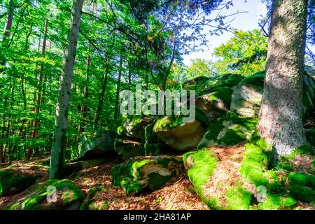 Escursioni a Kuernburg vicino a Stamsried nelle foreste bavaresi Foto Stock