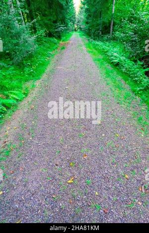 Escursioni a Kuernburg vicino a Stamsried nelle foreste bavaresi Foto Stock