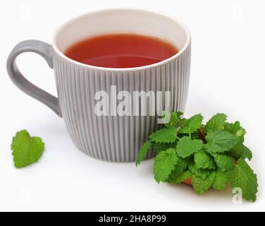 Foglie di balsamo al limone con tè alle erbe in una tazza su sfondo bianco Foto Stock