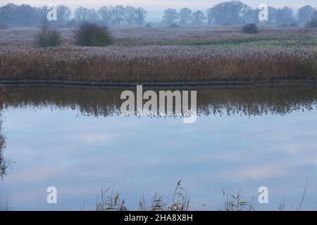 Laguna con canne vista alla riserva naturale del porto di Pagham. Foto Stock