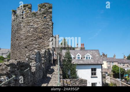 A piedi,a piedi,camminatore,castello,mura,intorno,alla,città,di,in,Conway,con,vista,punto,di,vista,sulla,città,e,castello,Conwy,Castello di Conwy,da,mura,costa,mercato,costiero,città,Contea di Conwy,Contea di Conway,Nord,Galles,Galles,Galles,GB,Gran Bretagna,Gran Bretagna,Regno Unito,Gran Bretagna,Gran Bretagna,Gran Bretagna,Gran Bretagna,Gran Bretagna,Gran Bretagna,Gran Bretagna,Gran Bretagna, Foto Stock