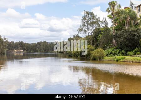 Manly Lagoon, acqua inquinata in questa laguna nel sobborgo della spiaggia di Manly, non adatto per nuotare, Sydney, Australia e vicino alla spiaggia di Manly Foto Stock