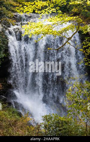 Dry Falls, una famosa cascata a piedi situata tra Highlands e Franklin, North Carolina, in una splendida giornata autunnale. (USA) Foto Stock