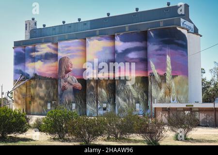 Little Girl in a Field silo art a Kimba - parte del sentiero del silo dell'australia meridionale Foto Stock