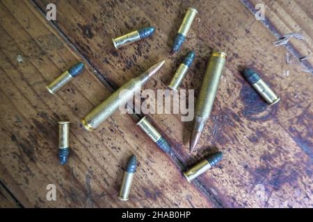 Piccola selezione di proiettili e conchiglie vuote su un tavolo di legno Foto Stock