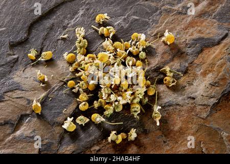 fiori di camomilla dall'alto sulla superficie di pietra Foto Stock