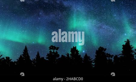 Aurora Nord luci alberi viaggio di vacanza inverno foresta paesaggio stellato cielo 3D rendere Foto Stock