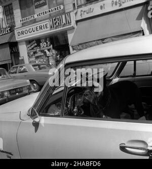 Francja, Rouen, 1969-08. Rouen latem. ruch uliczny w Rouen. mb PAP/Cezary Langda Dok³adny dzieñ wydarzenia nieustalony. Francia, Rouen, agosto 1969. Rouen in estate. Nella foto: Traffico stradale a Rouen. mb PAP/Cezary Langda Foto Stock