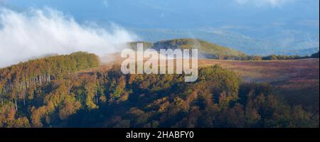 Nebbia in montagna. Paesaggio autunnale. Foresta di faggio Foto Stock