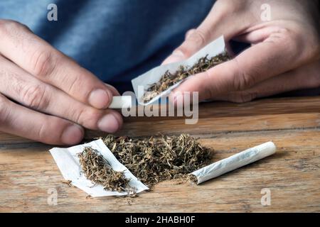 Sfuso tabacco arrotolabile con le mani di un uomo che arrotola una sigaretta sullo sfondo Foto Stock