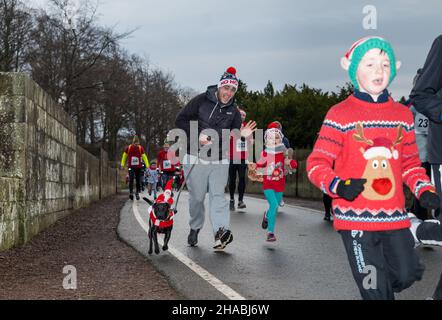 Dalkeith, Midlothian, Scozia, Regno Unito, 12th dicembre 2021. Santa Run e Elf Dash: L'evento di raccolta fondi di beneficenza si svolge nel Dalkeith Country Park per raccogliere fondi per I CHAS (Children’s Hospices in tutta la Scozia) nella foto: Partecipanti alla Elf Dash per i bambini più giovani con un uomo che corre con il suo cane e sventolando Foto Stock