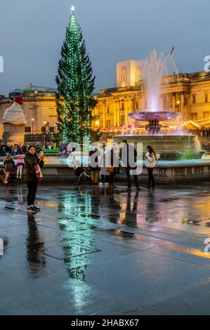 Londra, Regno Unito. 11th Dic 2021. Il Trafalgar piazza albero di Natale in tempo wintry bagnato. Al di fuori della Galleria Nazionale, entrambi si riflettono nelle pietre di cert della piazza. Credit: Guy Bell/Alamy Live News Foto Stock