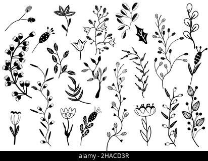 Grande collezione di fiori, foglie, rami d'albero, bacche. Stile Scandinavo. Elementi botanici selvatici per il tuo design. Semplici e minimalistici fiori bianchi neri. Illustrazione vettoriale. Illustrazione Vettoriale