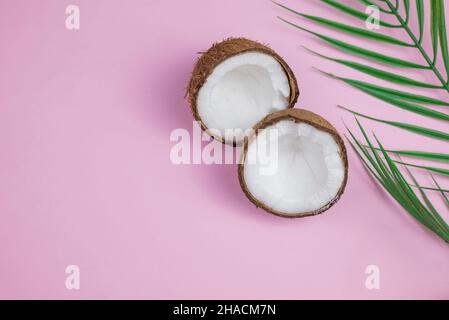 striscione con palma in foglia di cocco su sfondo rosa con spazio copia Foto Stock