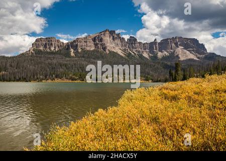 Arbusti di salice di colore autunnale al lago Brooks, Pinnacle Buttes, molti alberi morti, vittime dell'infestazione di scarabei nativi, Absaroka Range, Wyoming, USA Foto Stock