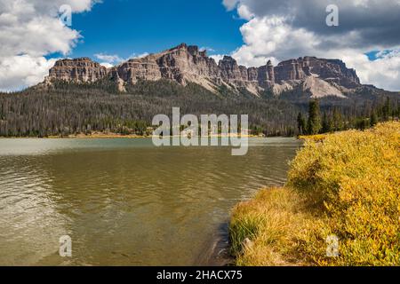 Arbusti di salice di colore autunnale al lago Brooks, Pinnacle Buttes, molti alberi morti, vittime dell'infestazione di scarabei nativi, Absaroka Range, Wyoming, USA Foto Stock