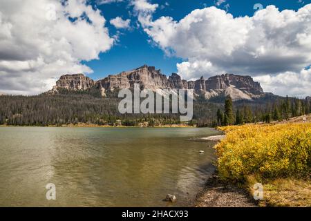 Arbusti di salice di colore autunnale al lago Brooks, Pinnacle Buttes, molti alberi morti, vittime dell'infestazione di scarabei nativi, Absaroka Range, Wyoming, USA Foto Stock