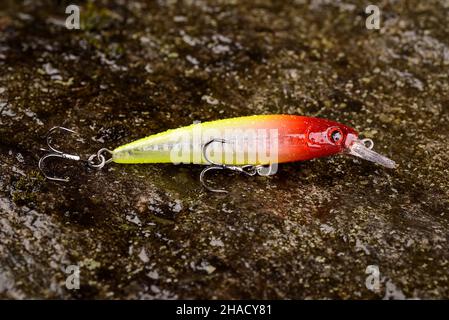 Pesca Lure Wobbler su una pietra bagnata con muschio Foto Stock