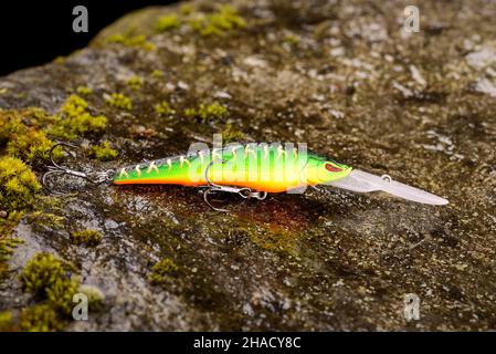 Pesca Lure Wobbler su una pietra bagnata con muschio Foto Stock