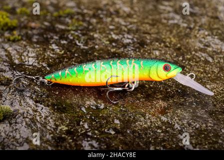 Pesca Lure Wobbler su una pietra bagnata con muschio Foto Stock