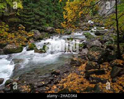 Pré Saint Didier, Aosta, Italia: In Orrido il fiume scorre in un paesaggio autunnale Foto Stock