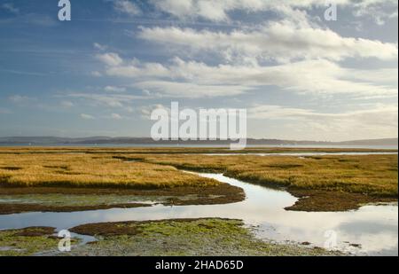 Vista dal sentiero di Solent Way, Keyhaven attraverso Pennington Salt Marshes e il Solent per l'Isola di Wight Regno Unito Foto Stock